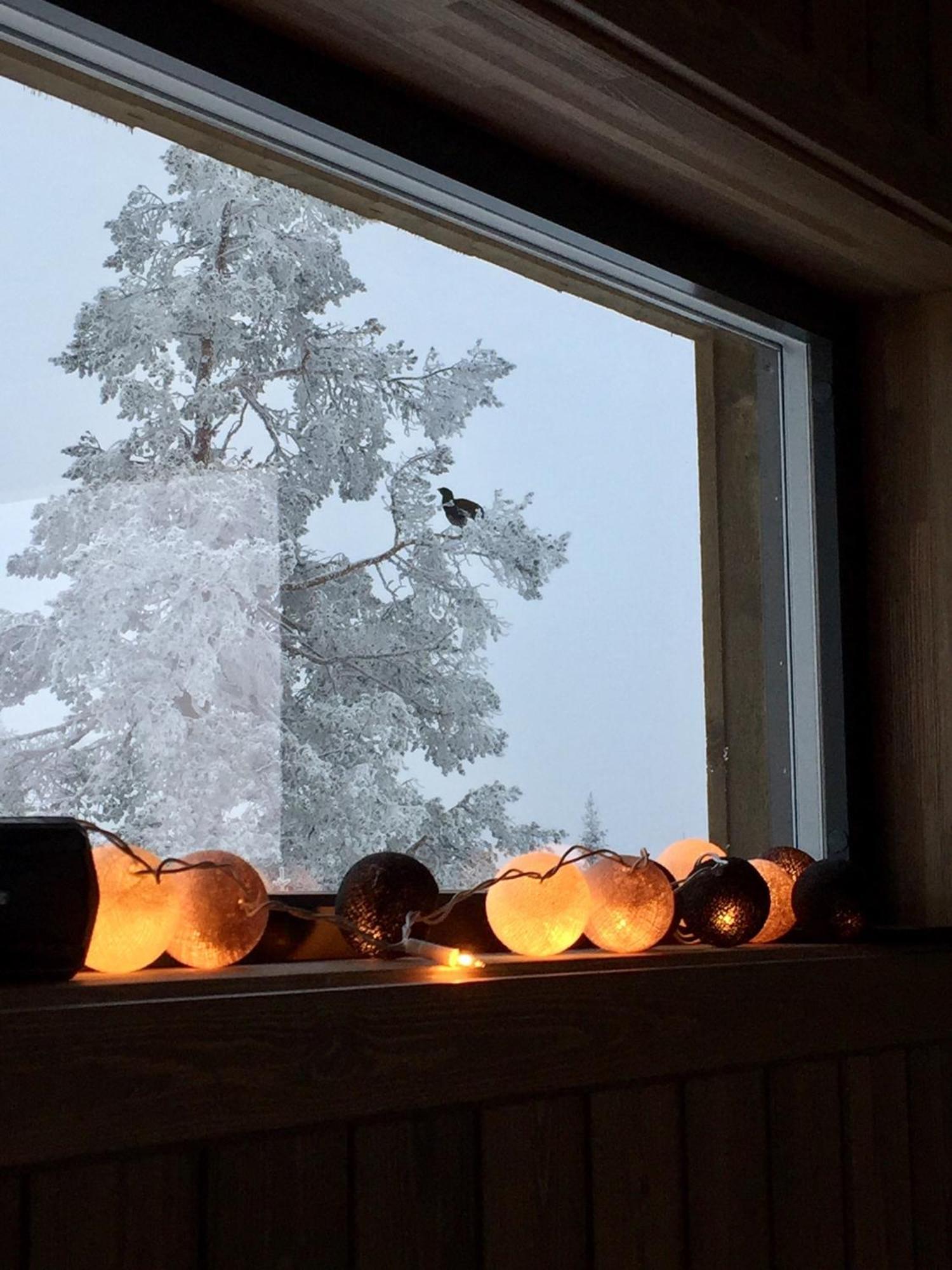 Sjusjoen Hytteutleie As Экстерьер фото